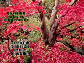 Je ne commande  pas la nature, je collabore avec elle. Comme un arbre j'ai mes saisons, mes forces et mes failles. 