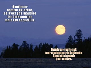 Continuer comme un arbre, ce n'est pas maudire les intempéries mais les accueillir. Dormir une courte nuit pour recommencer le lendemain. Apprendre à mourir pour renaître. 