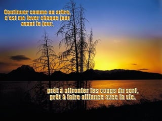 prêt à affronter les coups du sort, prêt à faire alliance avec la vie. Continuer comme un arbre, c'est me lever chaque jour avant le jour, 