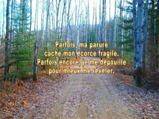 Parfois, ma parure  cache mon écorce fragile. Parfois encore, je me dépouille pour mieux me révéler. 