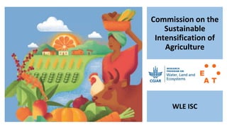 Commission on the
Sustainable
Intensification of
Agriculture
WLE ISC
 