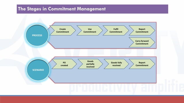 View of Commitment management in sap | PDF