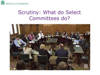 Scrutiny: What do Select
Committees do?
 