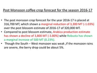 Post Monsoon coffee crop forecast for the season 2016-17
• The post monsoon crop forecast for the year 2016-17 is placed at
316,700 MT, which shown a marginal reduction of 3,300 MT (-1.03%)
over the post blossom estimate of 2016-17 of 320,000 MT.
• Compared to post blossom estimate, Arabica production estimate
has shown a decline of 3,800 MT (-3.80%) while Robusta has shown
a marginal increase of 500 MT (0.23%).
• Though the South – West monsoon was weak ,if the monsoon rains
are severe, the berry drop could be about 5%.
 