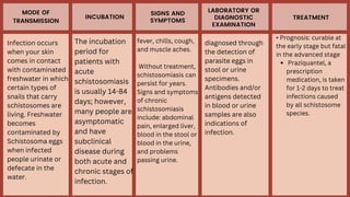 MODE OF
TRANSMISSION
INCUBATION
SIGNS AND
SYMPTOMS
LABORATORY OR
DIAGNOSTIC
EXAMINATION
TREATMENT
Infection occurs
when your skin
comes in contact
with contaminated
freshwater in which
certain types of
snails that carry
schistosomes are
living. Freshwater
becomes
contaminated by
Schistosoma eggs
when infected
people urinate or
defecate in the
water.
Praziquantel, a
prescription
medication, is taken
for 1-2 days to treat
infections caused
by all schistosome
species.
• Prognosis: curable at
the early stage but fatal
in the advanced stage
diagnosed through
the detection of
parasite eggs in
stool or urine
specimens.
Antibodies and/or
antigens detected
in blood or urine
samples are also
indications of
infection.
fever, chills, cough,
and muscle aches.
Without treatment,
schistosomiasis can
persist for years.
Signs and symptoms
of chronic
schistosomiasis
include: abdominal
pain, enlarged liver,
blood in the stool or
blood in the urine,
and problems
passing urine.
The incubation
period for
patients with
acute
schistosomiasis
is usually 14-84
days; however,
many people are
asymptomatic
and have
subclinical
disease during
both acute and
chronic stages of
infection.
 