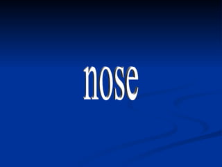 nose 