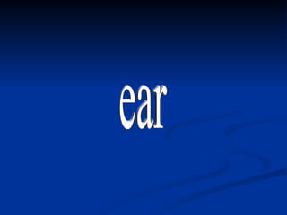 ear 