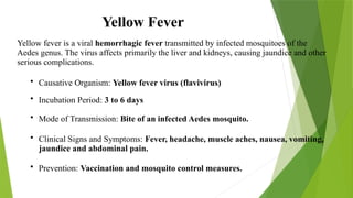 Yellow Fever
Yellow fever is a viral hemorrhagic fever transmitted by infected mosquitoes of the
Aedes genus. The virus affects primarily the liver and kidneys, causing jaundice and other
serious complications.
• Causative Organism: Yellow fever virus (flavivirus)
• Incubation Period: 3 to 6 days
• Mode of Transmission: Bite of an infected Aedes mosquito.
• Clinical Signs and Symptoms: Fever, headache, muscle aches, nausea, vomiting,
jaundice and abdominal pain.
• Prevention: Vaccination and mosquito control measures.
 