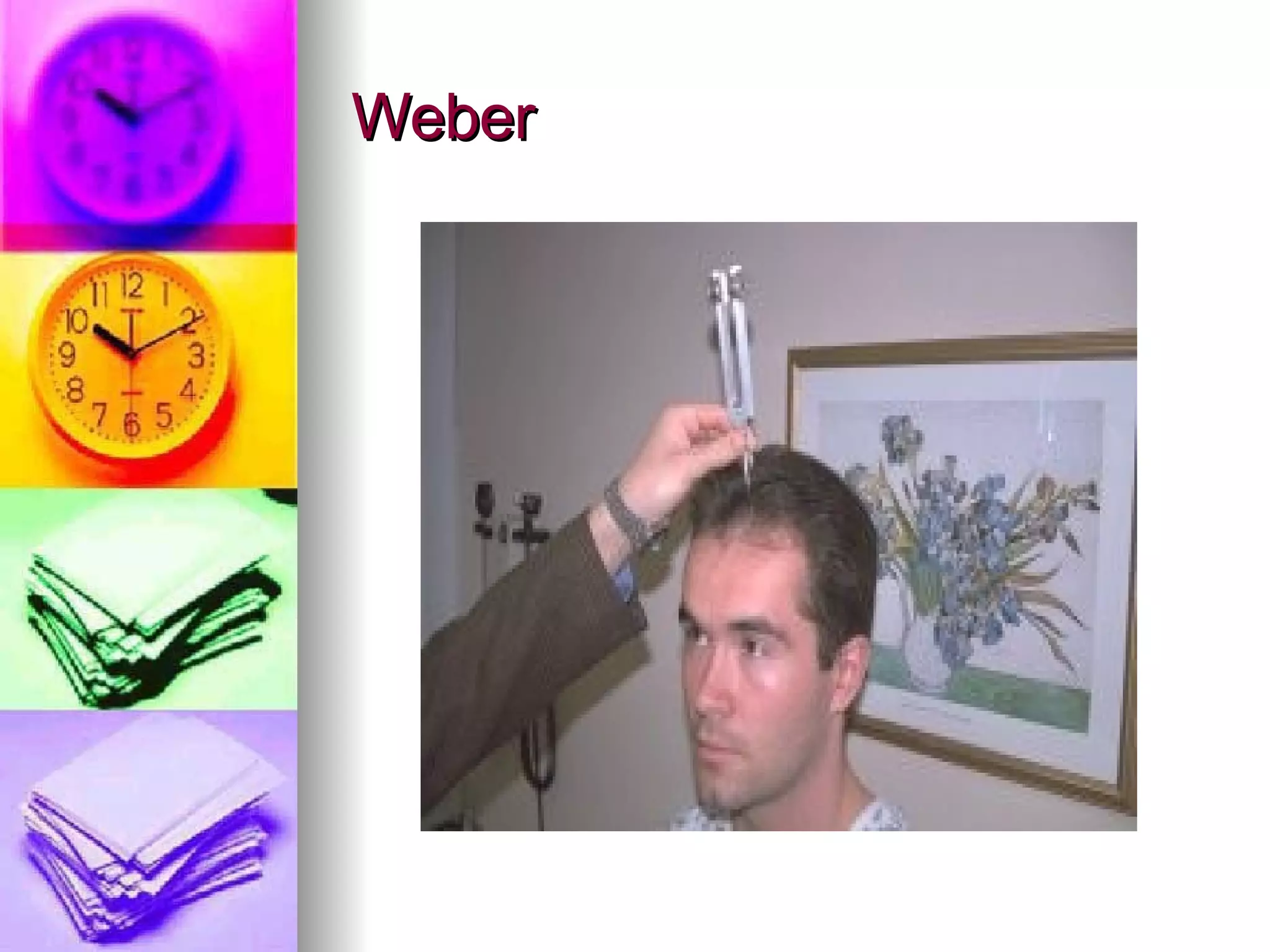 Weber 