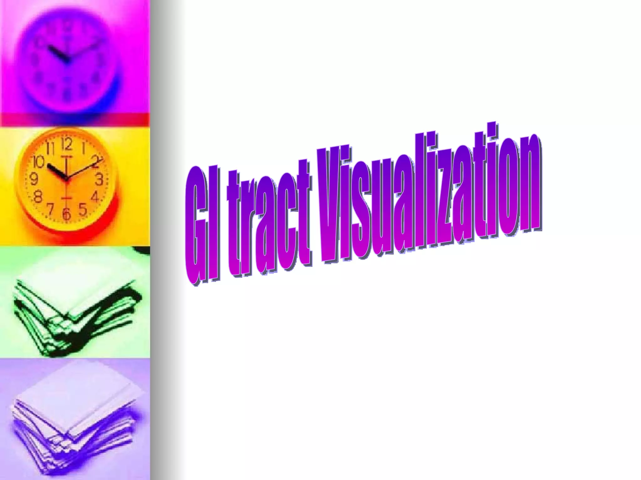 GI tract Visualization 