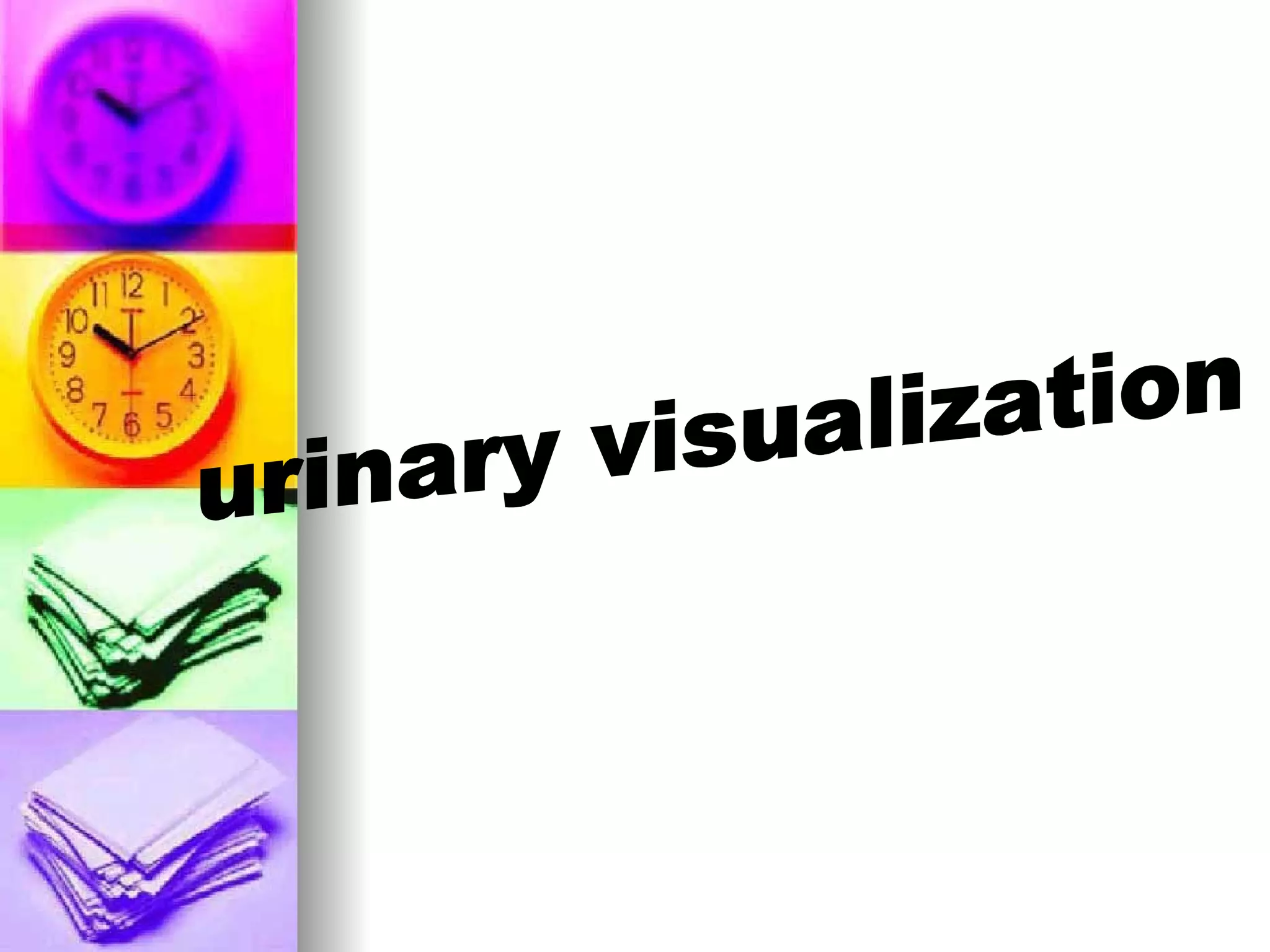 urinary visualization 