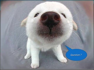 Question ?  