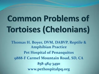Common Problems of Tortoises (Chelonians) Thomas H. Boyer, DVM, DABVP, Reptile & Amphibian Practice Pet Hospital of Penasquitos 9888-F Carmel Mountain Road, SD, CA 858-484-3490 www.pethospitalpq.org  