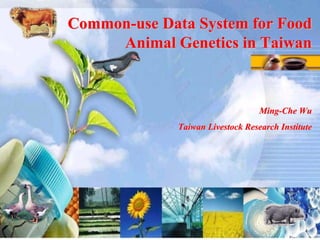 Common-use Data System for Food
     Animal Genetics in Taiwan



                                  Ming-Che Wu
             Taiwan Livestock Research Institute
 