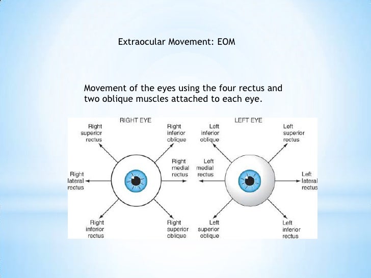 Common abbreviations for eyes and ears