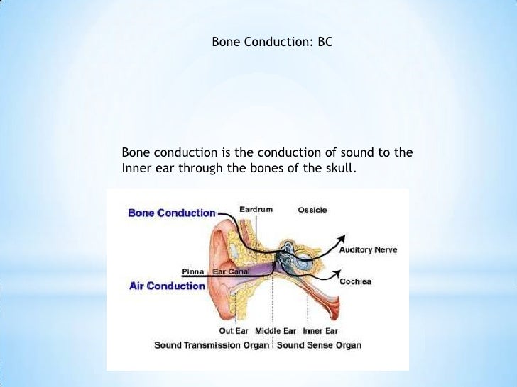 Common abbreviations for eyes and ears