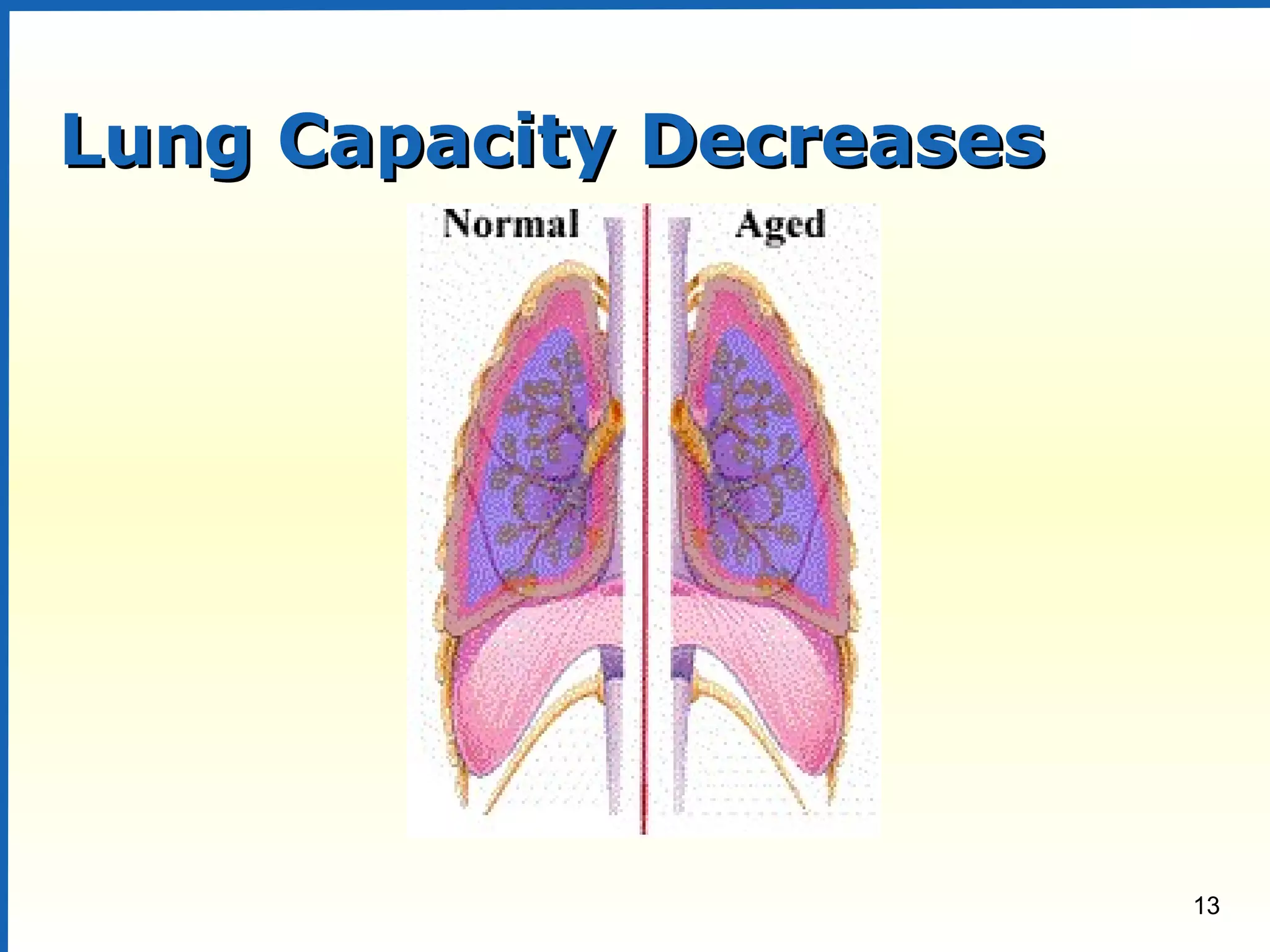 13
Lung Capacity DecreasesLung Capacity Decreases
 