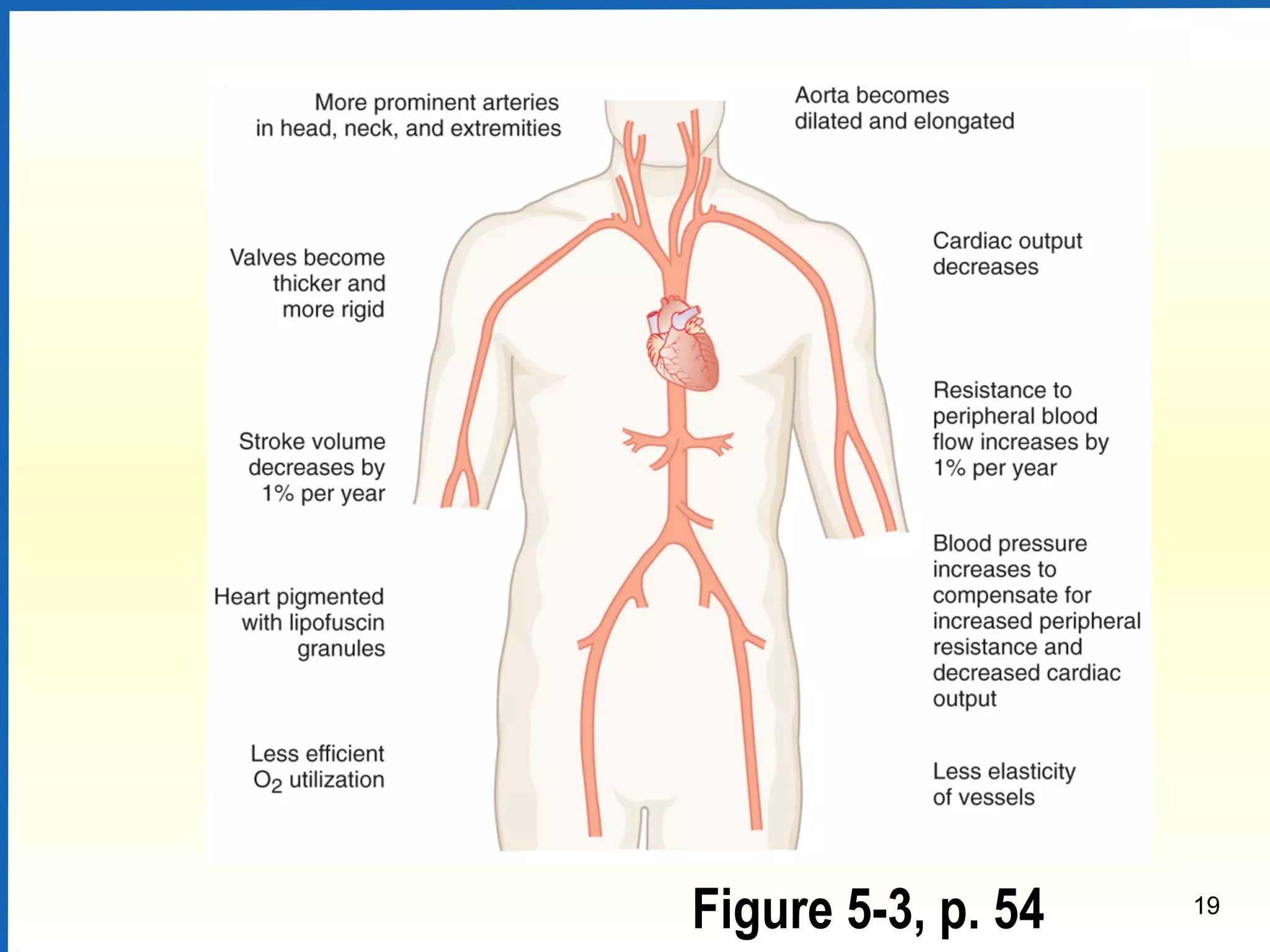 19
Figure 5-3, p. 54
 