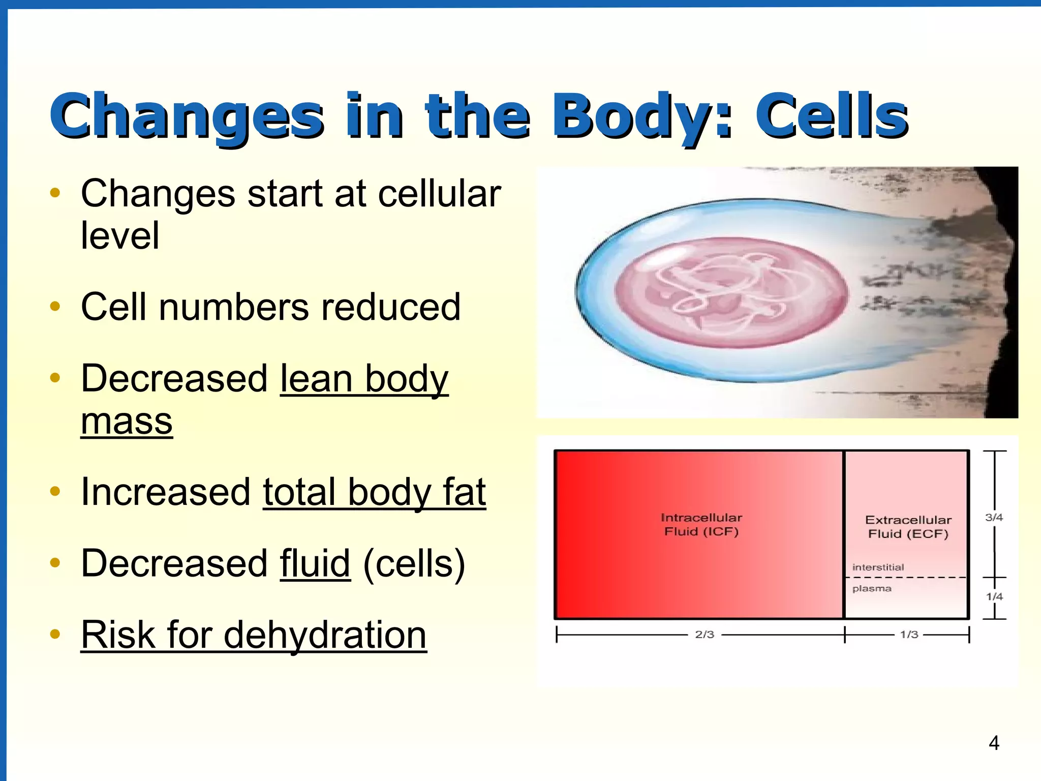4
Changes in the Body: CellsChanges in the Body: Cells
• Changes start at cellular
level
• Cell numbers reduced
• Decreased lean body
mass
• Increased total body fat
• Decreased fluid (cells)
• Risk for dehydration
 