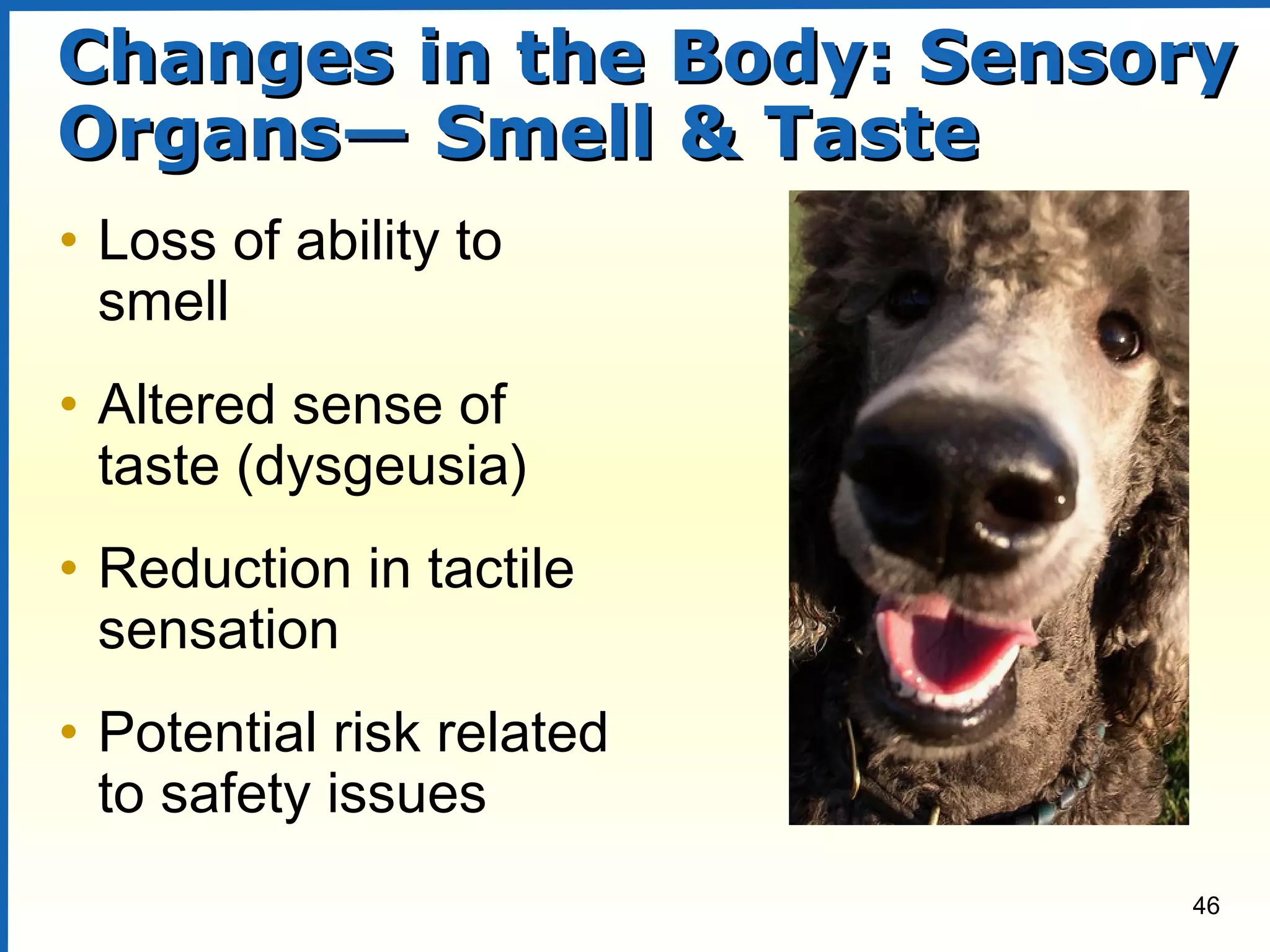 46
Changes in the Body: SensoryChanges in the Body: Sensory
Organs— Smell & TasteOrgans— Smell & Taste
• Loss of ability to
smell
• Altered sense of
taste (dysgeusia)
• Reduction in tactile
sensation
• Potential risk related
to safety issues
 
