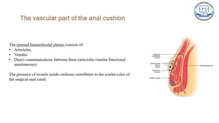 Common anal conditions.