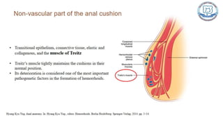 Common anal conditions.