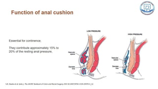 Common anal conditions.
