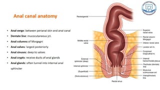 Common anal conditions.