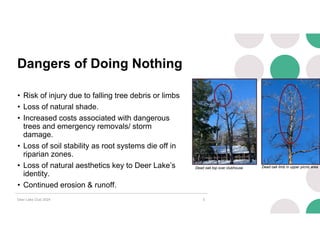 Tree Inconveniences Common Area Tree Issues v1.pdf