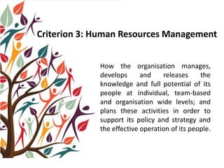 Criterion 3: Human Resources Management
How the organisation manages,
develops and releases the
knowledge and full potential of its
people at individual, team-based
and organisation wide levels; and
plans these activities in order to
support its policy and strategy and
the effective operation of its people.
 