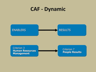 CAF - Dynamic
ENABLERS RESULTS
Criterion 3
Human Resources
Management
Criterion 7
People Results
 