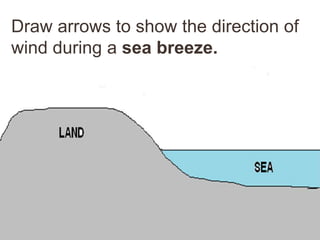 Draw arrows to show the direction of
wind during a sea breeze.
 