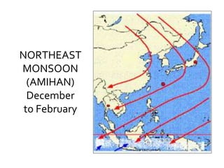 NORTHEAST
MONSOON
(AMIHAN)
December
to February
 