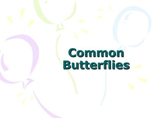 CommonCommon
ButterfliesButterflies
 
