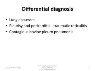 Differential diagnosis
• Lung abscesses
• Pleurisy and pericarditis - traumatic reticulitis
• Contagious bovine pleuro pneumonia

Friday, October 18, 2013

Dr.Pavulraj.S, (original author)
M.V.Sc., Pathology
scholar, IVRI(NRCE), India

14

 