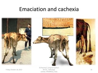 Emaciation and cachexia

Friday, October 18, 2013

Dr.Pavulraj.S, (original author)
M.V.Sc., Pathology
scholar, IVRI(NRCE), India

16

 