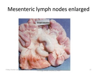 Mesenteric lymph nodes enlarged

Friday, October 18, 2013

Dr.Pavulraj.S, (original author) M.V.Sc.,
Pathology scholar, IVRI(NRCE), India

17

 