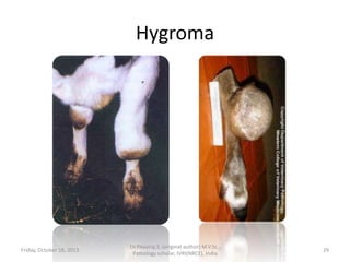 Hygroma

Friday, October 18, 2013

Dr.Pavulraj.S, (original author) M.V.Sc.,
Pathology scholar, IVRI(NRCE), India

29

 