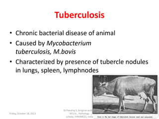 Tuberculosis
• Chronic bacterial disease of animal
• Caused by Mycobacterium
tuberculosis, M.bovis
• Characterized by presence of tubercle nodules
in lungs, spleen, lymphnodes

Friday, October 18, 2013

Dr.Pavulraj.S, (original author)
M.V.Sc., Pathology
scholar, IVRI(NRCE), India

3

 