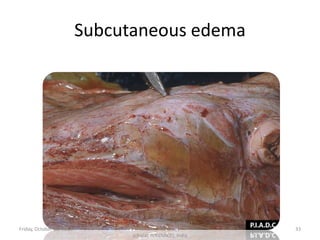 Subcutaneous edema

Friday, October 18, 2013

Dr.Pavulraj.S, (original author)
M.V.Sc., Pathology
scholar, IVRI(NRCE), India

33

 