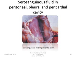 Serosanguinous fluid in
peritoneal, pleural and pericardial
cavity

Serosanguinous fluid in pericardial cavity

Friday, October 18, 2013

Dr.Pavulraj.S, (original author)
M.V.Sc., Pathology
scholar, IVRI(NRCE), India

34

 