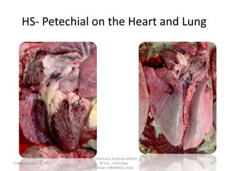 HS- Petechial on the Heart and Lung

Friday, October 18, 2013

Dr.Pavulraj.S, (original author)
M.V.Sc., Pathology
scholar, IVRI(NRCE), India

36

 