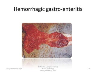 Hemorrhagic gastro-enteritis

Friday, October 18, 2013

Dr.Pavulraj.S, (original author)
M.V.Sc., Pathology
scholar, IVRI(NRCE), India

40

 