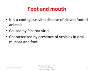 Foot and mouth
• It is a contagious viral disease of cloven footed
animals
• Caused by Picorna virus
• Characterized by presence of vesicles in oral
mucosa and foot

Friday, October 18, 2013

Dr.Pavulraj.S, (original author)
M.V.Sc., Pathology
scholar, IVRI(NRCE), India

44

 