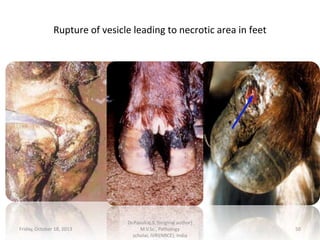 Rupture of vesicle leading to necrotic area in feet

Friday, October 18, 2013

Dr.Pavulraj.S, (original author)
M.V.Sc., Pathology
scholar, IVRI(NRCE), India

50

 