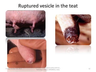 Ruptured vesicle in the teat

Friday, October 18, 2013

Dr.Pavulraj.S, (original author) M.V.Sc.,
Pathology scholar, IVRI(NRCE), India

52

 