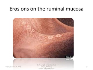 Erosions on the ruminal mucosa

Friday, October 18, 2013

Dr.Pavulraj.S, (original author)
M.V.Sc., Pathology
scholar, IVRI(NRCE), India

53

 