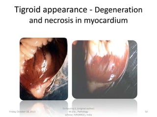 Tigroid appearance - Degeneration
and necrosis in myocardium

Friday, October 18, 2013

Dr.Pavulraj.S, (original author)
M.V.Sc., Pathology
scholar, IVRI(NRCE), India

54

 