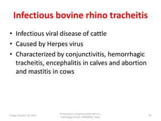 Infectious bovine rhino tracheitis
• Infectious viral disease of cattle
• Caused by Herpes virus
• Characterized by conjunctivitis, hemorrhagic
tracheitis, encephalitis in calves and abortion
and mastitis in cows

Friday, October 18, 2013

Dr.Pavulraj.S, (original author) M.V.Sc.,
Pathology scholar, IVRI(NRCE), India

56

 