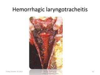 Hemorrhagic laryngotracheitis

Friday, October 18, 2013

Dr.Pavulraj.S, (original author)
M.V.Sc., Pathology
scholar, IVRI(NRCE), India

61

 